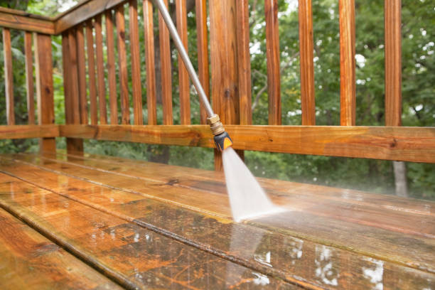 Best Sidewalk and Walkway Cleaning  in Chuluota, FL